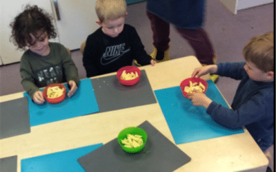In Wren Room We Are Learning… (Term 5, 2024)