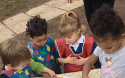 In Willow Room We Are Learning… (Term 4, 2024)