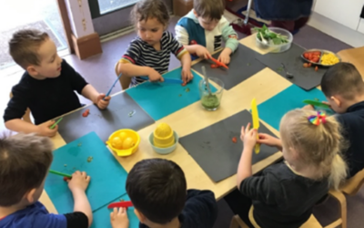 In Owl Room We Are Learning… (Term 5, 2024)