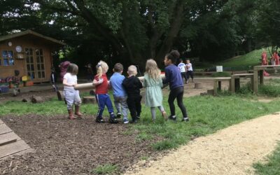 In Oak Room We Are Learning… (Term 6, 2024)