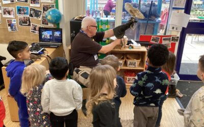 Owls Visit Little Hayes Nursery School