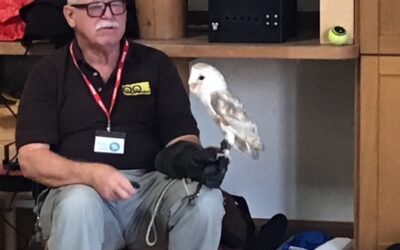 Owls Visit Speedwell Nursery School