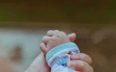 Parenting Support Opportunities for Local Families